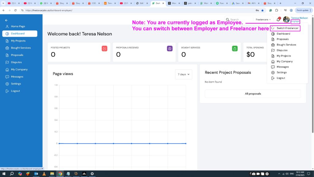 Navigate between freelancer and employee