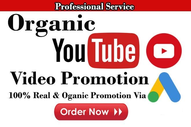 I will do super fast organic youtube video promotion